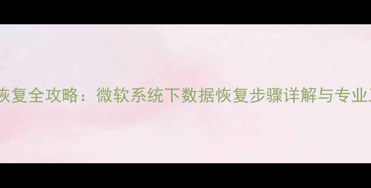 图片 硬盘数据恢复全攻略：微软系统下数据恢复步骤详解与专业工具推荐2