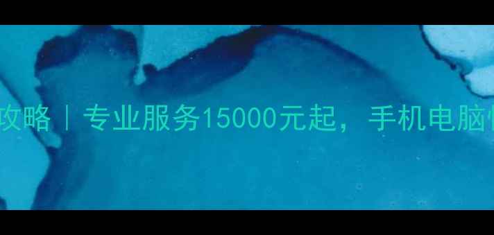 图片 硬盘数据恢复全攻略｜专业服务15000元起，手机电脑恢复必看指南！2