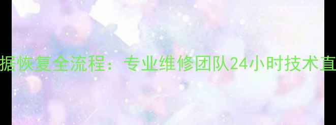 图片 硬盘数据恢复全流程：专业维修团队24小时技术直播指导