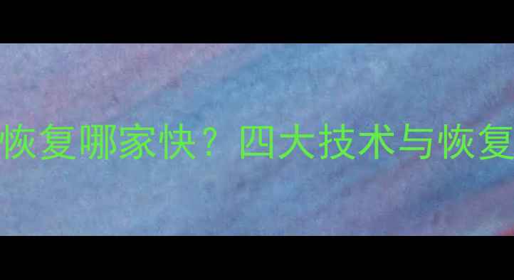 图片 硬盘数据恢复哪家快？四大技术与恢复速度对比