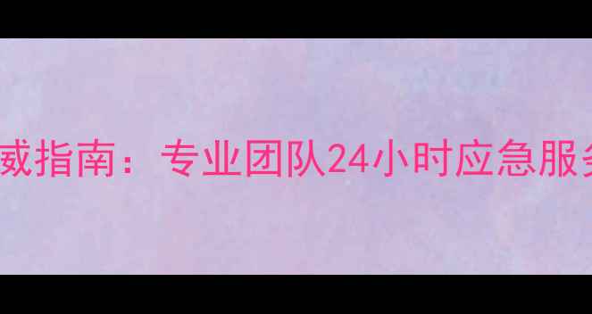 硬盘数据恢复权威指南专业团队24小时应急服务高成功率保障