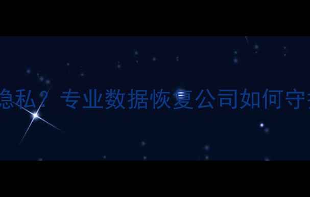 图片 硬盘数据恢复泄露隐私？专业数据恢复公司如何守护您的隐私安全✅2