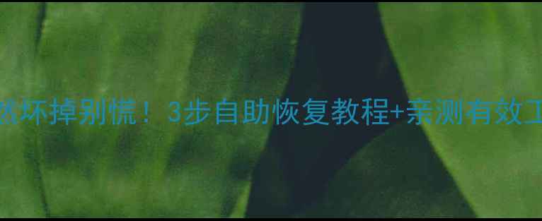 图片 硬盘数据突然坏掉别慌！3步自助恢复教程+亲测有效工具推荐🔧💾