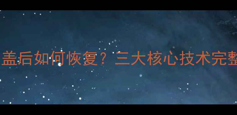 图片 硬盘数据覆盖后如何恢复？三大核心技术完整操作指南1