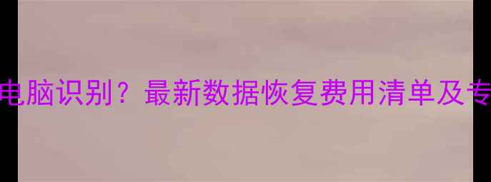 图片 硬盘无法被电脑识别？最新数据恢复费用清单及专业解决方案