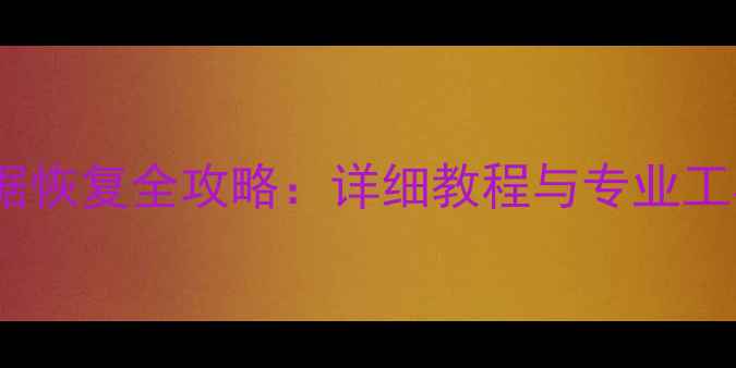 硬盘格式化后数据恢复全攻略详细教程与专业工具推荐最新