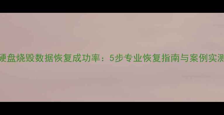 硬盘烧毁数据恢复成功率5步专业恢复指南与案例实测