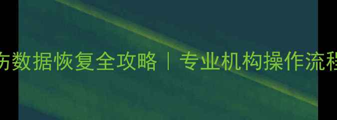 图片 硬盘盘片划伤数据恢复全攻略｜专业机构操作流程大公开🔧💾