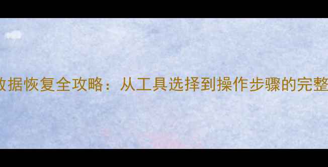 图片 硬盘脱机数据恢复全攻略：从工具选择到操作步骤的完整解决方案2