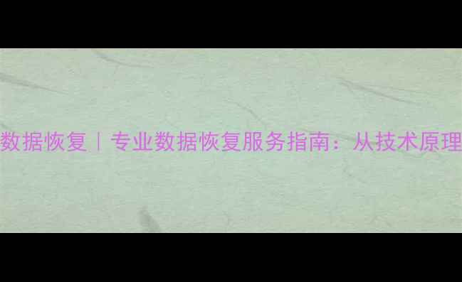 图片 磁盘删除失败数据恢复｜专业数据恢复服务指南：从技术原理到操作步骤全