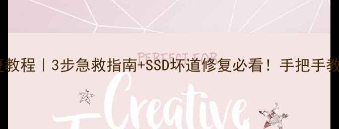 磁盘损坏数据恢复教程3步急救指南SSD坏道修复必看手把手教你找回重要文件