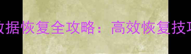 图片 磁盘格式后数据恢复全攻略：高效恢复技巧与专业指南