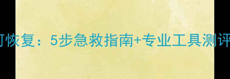 磁盘误删数据如何恢复5步急救指南专业工具测评附预防技巧