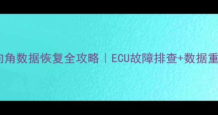 图片 福特致胜转向角数据恢复全攻略｜ECU故障排查+数据重置技术教程1