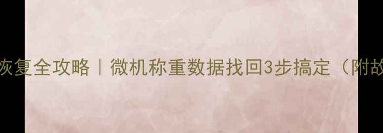 图片 称重设备数据恢复全攻略｜微机称重数据找回3步搞定（附故障场景实测）