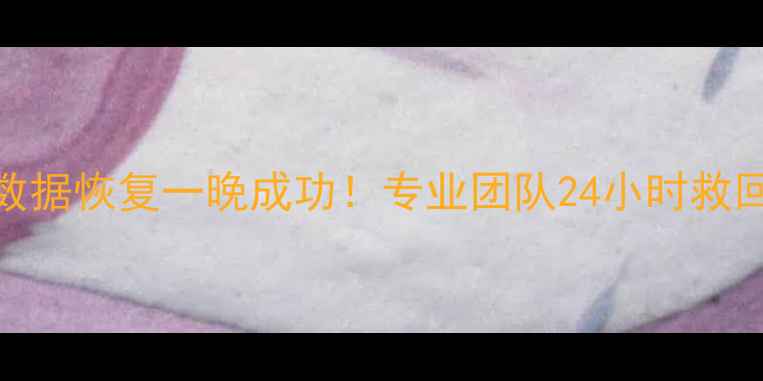 图片 移动硬盘数据恢复一晚成功！专业团队24小时救回重要文件