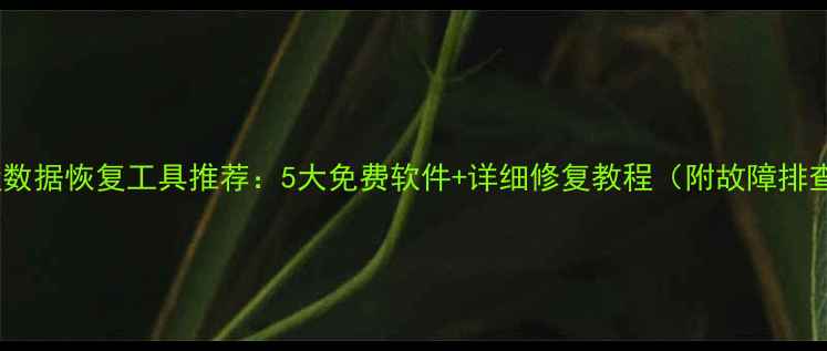 移动硬盘数据恢复工具推荐5大免费软件详细修复教程附故障排查指南