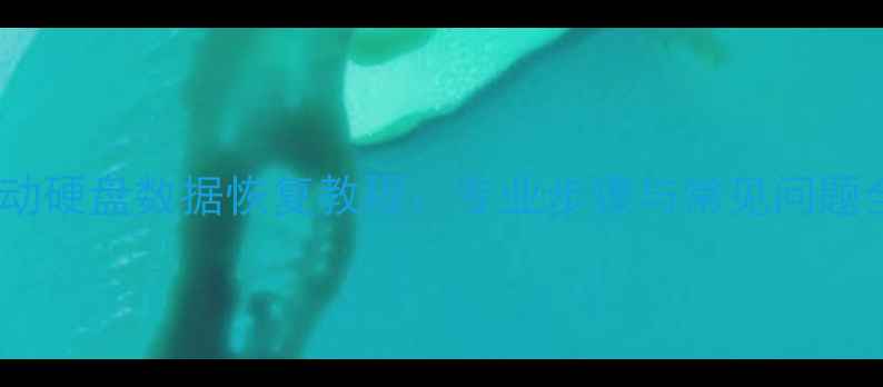 移动硬盘数据恢复教程专业步骤与常见问题全