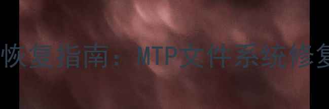 图片 移动设备误删文件深度恢复指南：MTP文件系统修复与专业工具使用详解2