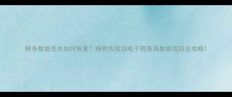 税务数据丢失如何恢复报税失败后电子税务局数据找回全攻略