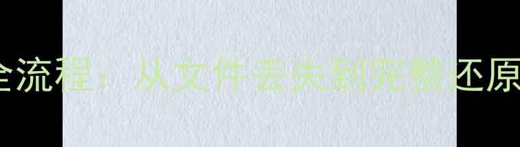 税财通数据恢复全流程从文件丢失到完整还原的12步高效指南