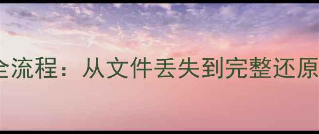 图片 税财通数据恢复全流程：从文件丢失到完整还原的12步高效指南2
