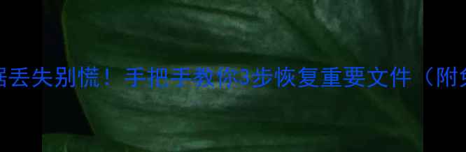 图片 笔记本数据丢失别慌！手把手教你3步恢复重要文件（附免费工具）