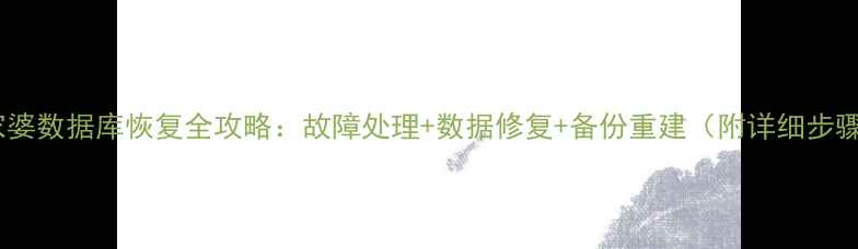 管家婆数据库恢复全攻略故障处理数据修复备份重建附详细步骤