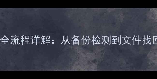 管家婆数据恢复全流程详解从备份检测到文件找回的7步操作指南