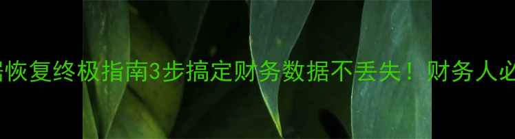 管家婆数据恢复终极指南3步搞定财务数据不丢失财务人必看干货