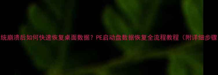图片 系统崩溃后如何快速恢复桌面数据？PE启动盘数据恢复全流程教程（附详细步骤）