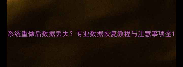 系统重做后数据丢失专业数据恢复教程与注意事项全