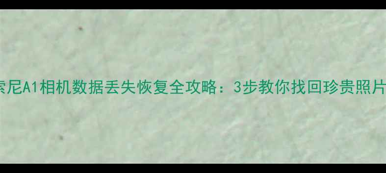 图片 索尼A1相机数据丢失恢复全攻略：3步教你找回珍贵照片2