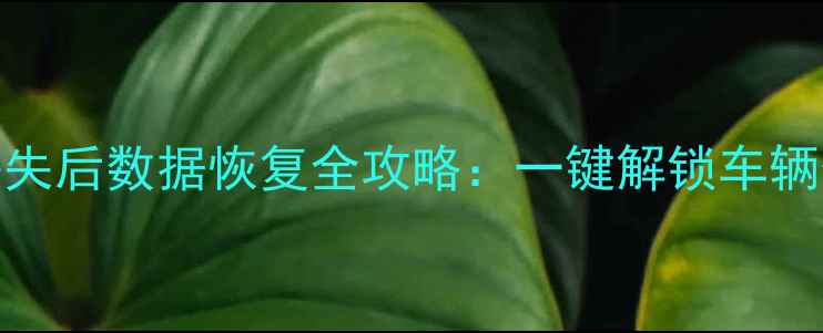图片 红旗H5钥匙丢失后数据恢复全攻略：一键解锁车辆信息找回技巧
