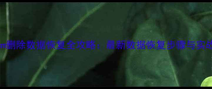 图片 绿plum删除数据恢复全攻略：最新数据恢复步骤与实战指南