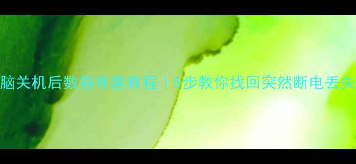 图片 网吧电脑关机后数据恢复教程｜5步教你找回突然断电丢失的文件