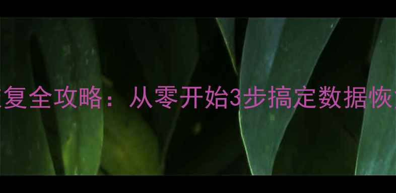 图片 网址之家数据库恢复全攻略：从零开始3步搞定数据恢复（附详细教程）