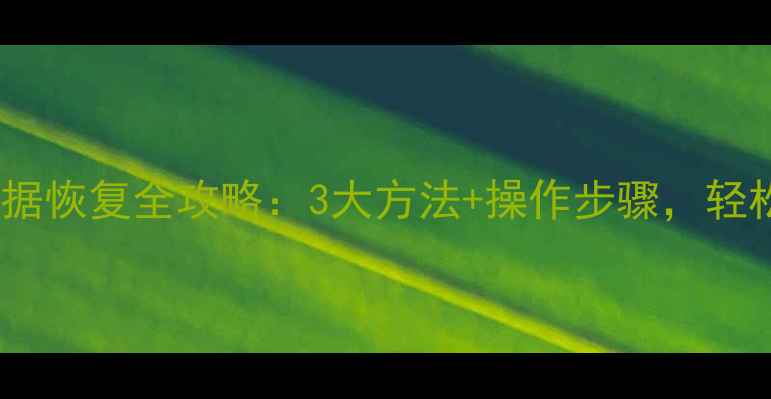 图片 网盘误清理后数据恢复全攻略：3大方法+操作步骤，轻松找回重要文件2