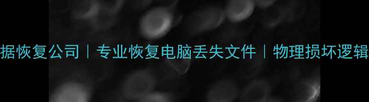 图片 美国硬盘数据恢复公司｜专业恢复电脑丢失文件｜物理损坏逻辑修复全攻略