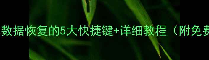 图片 老笔记本数据恢复的5大快捷键+详细教程（附免费工具）1