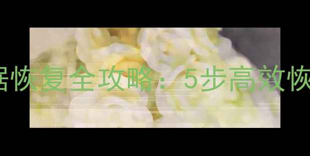 自然人扣缴系统数据恢复全攻略5步高效恢复指南与实用技巧