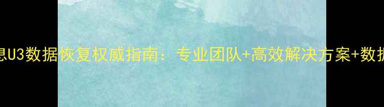 航天信息U3数据恢复权威指南专业团队高效解决方案数据安全全