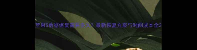 图片 苹果5数据恢复需要多久？最新恢复方案与时间成本全2