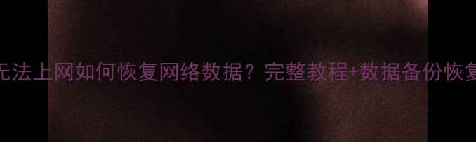 图片 苹果6无法上网如何恢复网络数据？完整教程+数据备份恢复方案2