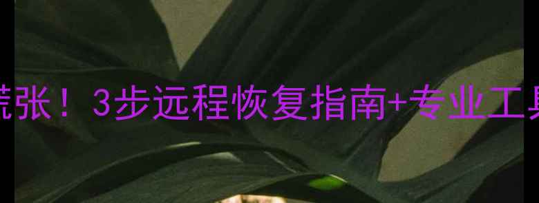 苹果手机数据丢失别慌张3步远程恢复指南专业工具推荐附操作教程