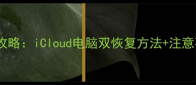 图片 苹果手机数据恢复全攻略：iCloud电脑双恢复方法+注意事项（附操作步骤）1