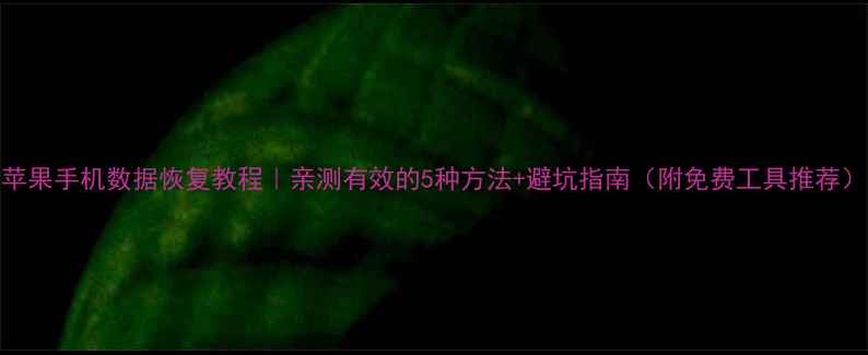 图片 苹果手机数据恢复教程｜亲测有效的5种方法+避坑指南（附免费工具推荐）