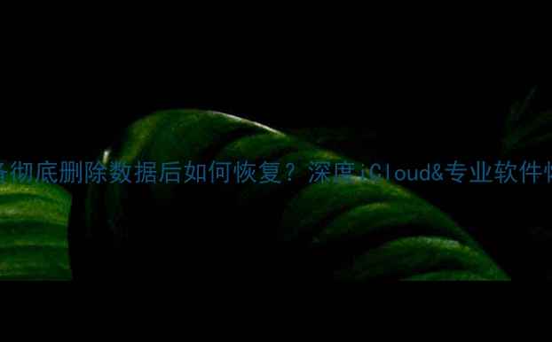 苹果设备彻底删除数据后如何恢复深度iCloud专业软件恢复技巧