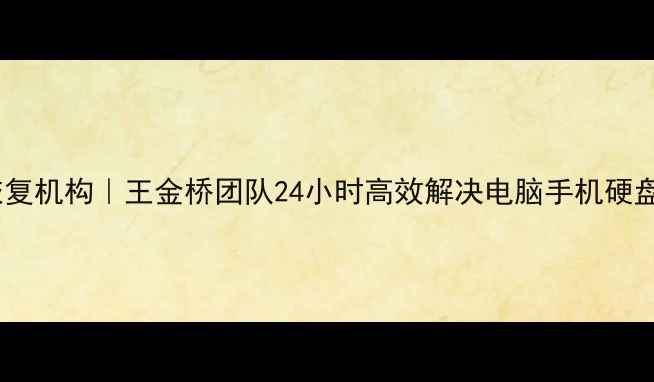 荆州专业数据恢复机构王金桥团队24小时高效解决电脑手机硬盘数据丢失问题