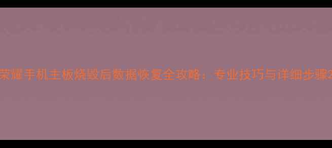图片 荣耀手机主板烧毁后数据恢复全攻略：专业技巧与详细步骤2